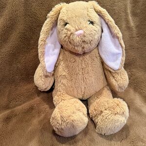 Build-A-Bear Workshop BABW 2010 16” Bunny Rabbit